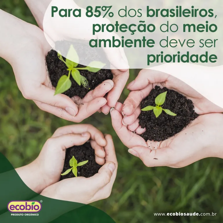 Para 85% dos brasileiros, proteção do meio ambiente deve ser prioridade